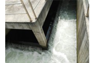 生化出水氨氮超標(biāo)是怎么回事，要怎么辦